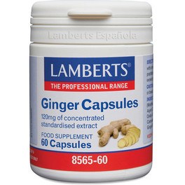 Lamberts Ginger Extracto Jengibre 60 Caps