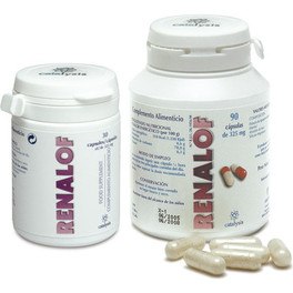 Katalyse Renalof 325 mg 90 Kapseln