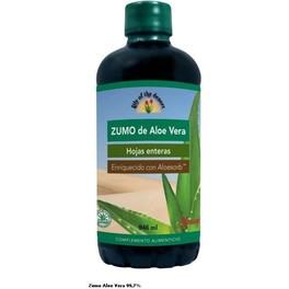Suco de Aloe Vera Lírio do Deserto 946 Ml