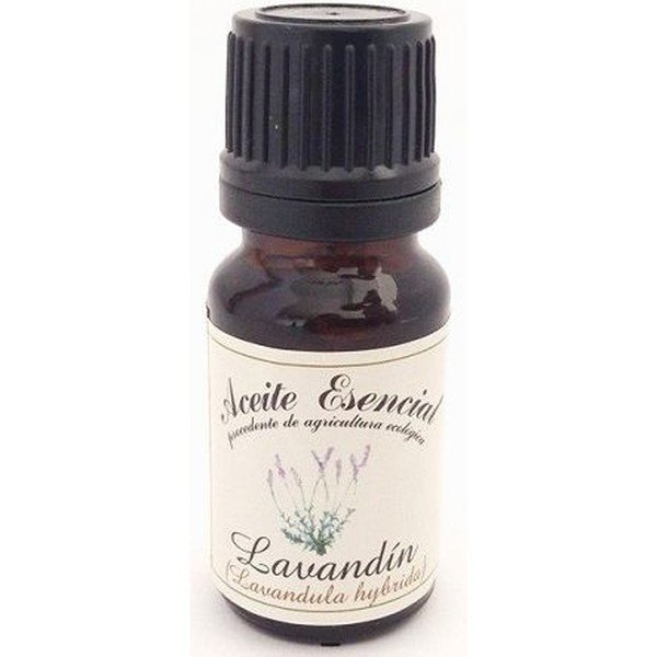 Labiatae Aceite Esencial De Lavandin (Lavandula Hybrida) 12