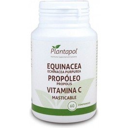 Planta Pol Equinacea, Propoleo Y Vitamina C Masticable 60 Com