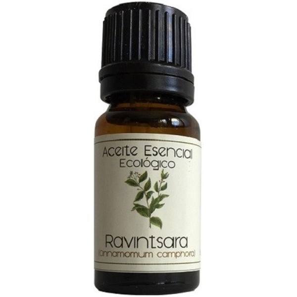Óleo Essencial Labiatae. Ravinsara (Cinnamomum Camphora) 12 ml