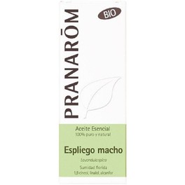 Pranarom Lavanda Maschile Sumidad Florida 10 Ml