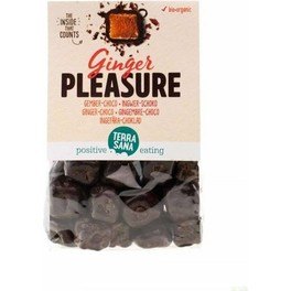 Terrasana Ginger Pleasure / Jengibrechoco 150 G