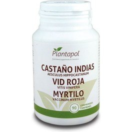 Castanha-da-índia Pol Plant, Videira Vermelha e Myrtilo 90 Comprimido