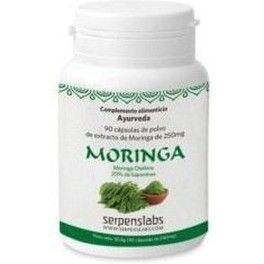 Cappello Serpens Moringa