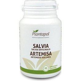 Pol Plant Sauge Et Artemisia 90 Comprimés 530 Mg