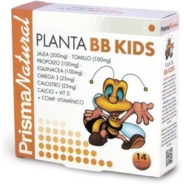 Prisma Natural Plant Baby Infant 20 Fläschchen x 10 ml