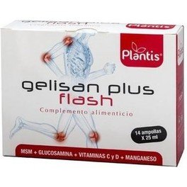 Artesania Gelisan Plus Flash Glucosamina + Curcuma + Msm 14