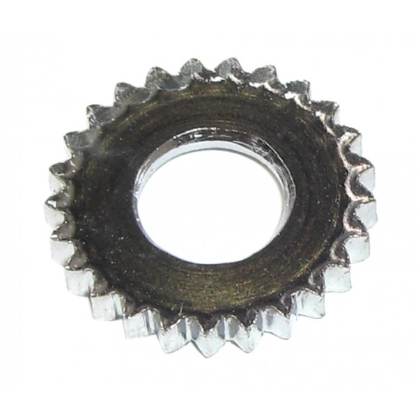 Campagnolo Arandela Dentada