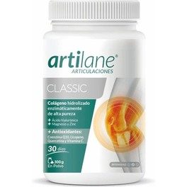 Masterdiet Artilane Classique Poudre 300gr