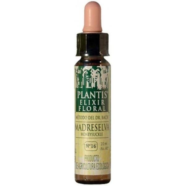 Artisanat Plantis 16 Chèvrefeuille 10 Ml