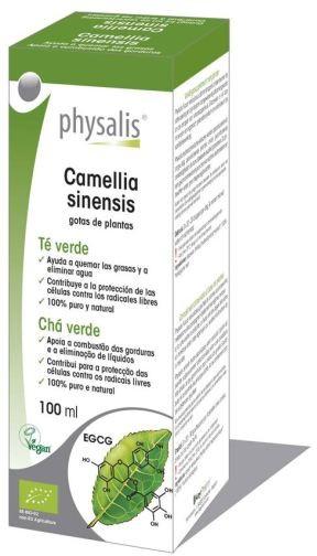 Physalis Camellia Sinensis 100 Ml (Tintura Te Verde )-image