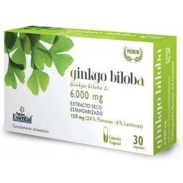 Nature Essential Ginkgo Biloba 6000 Mg 24% / 6 % Ext Seco 30 Vcaps