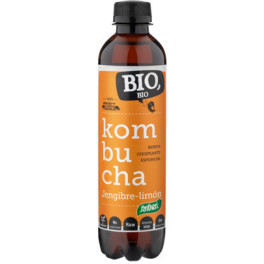 Santiveri Kombucha Gember En Citroen Bio