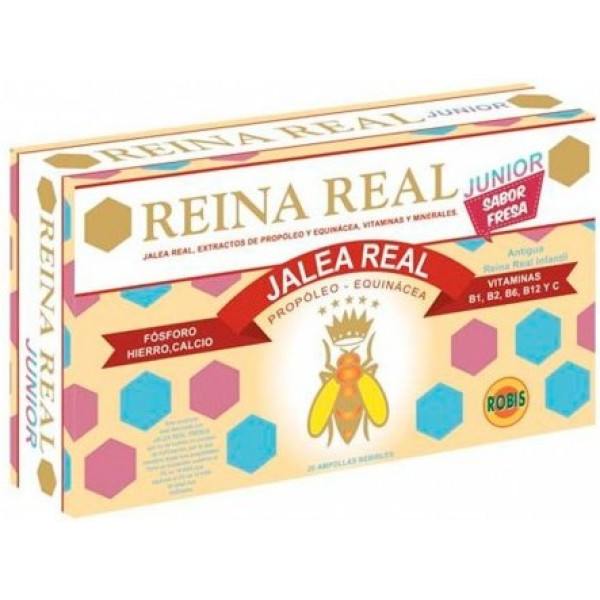 Robis Reina Real Junior 20 Amp