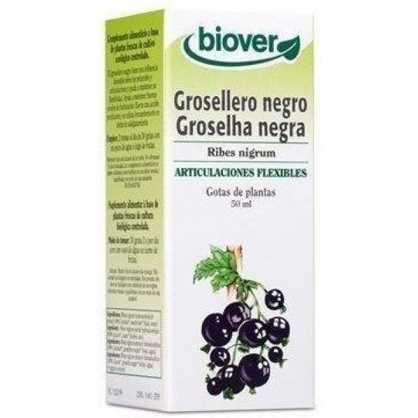 Biover Ribes Nigrum 50 ml Schwarze Johannisbeere