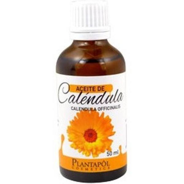 Usine de calendula Pol