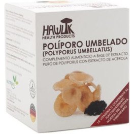 Paraplu Polypore Hawlik (Polyporus Umbellatus). Extract