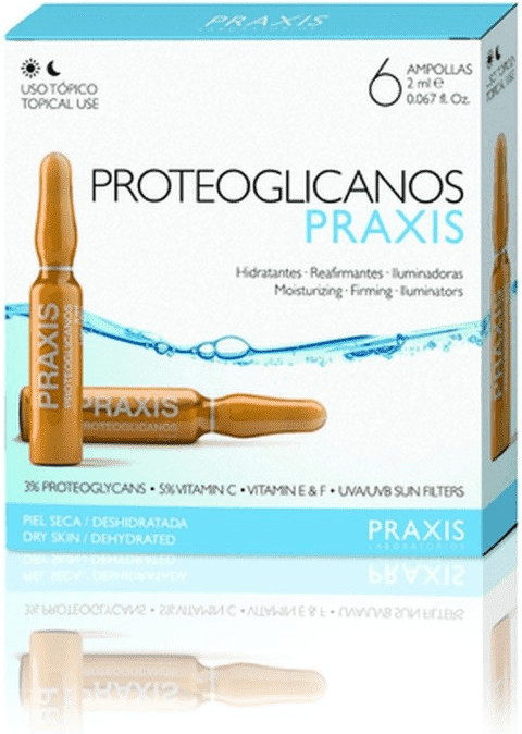 Praxis ProtÃ©Oglycanes BoÃ®Te 6Ud-image
