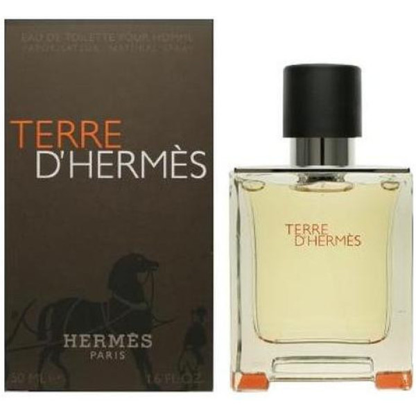 Hermes Terre D'hermès Eau de Toilette Vaporizador 100 Ml Hombre
