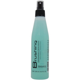 Salerm Borstelen Thermische Bescherming 250 Ml Unisex