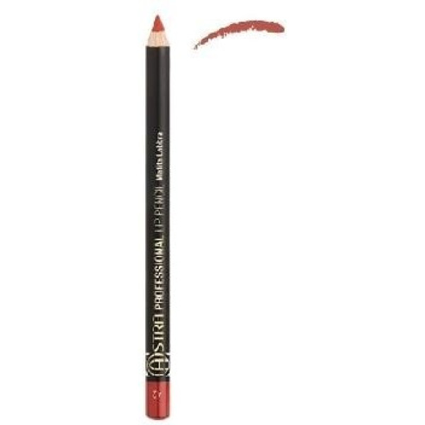 Astra Professional Lip Pencil 32 Browns Lips 11gr