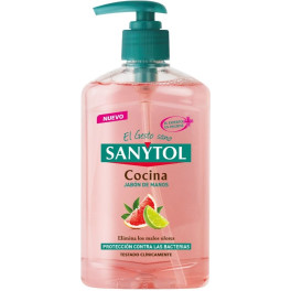 Sanytol Dispenser di sapone per le mani da cucina antibatterico 250 ml unisex