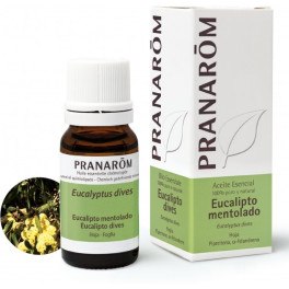 Pranarom Eukalyptus-Menthol-Blatt 10 ml