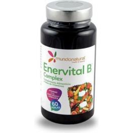 Natural World Enervital B-Komplex 60 Kapseln