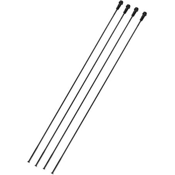 Campagnolo 4 Radios Zonda Delantero Izquierdo