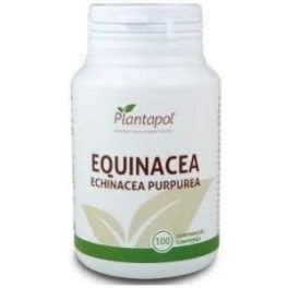 Pol Echinacée Plante 100 Comprimés 400 Mg